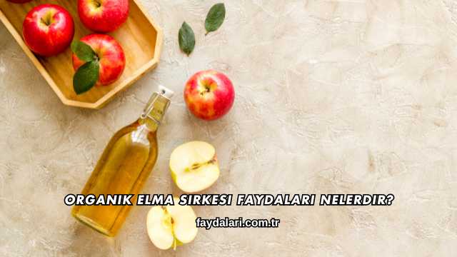 Organik Elma Sirkesi Faydaları Nelerdir?