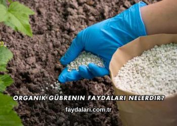 Organik Gübrenin Faydaları Nelerdir?