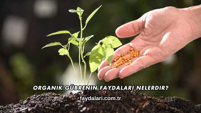 Organik Gübrenin Faydaları Nelerdir?