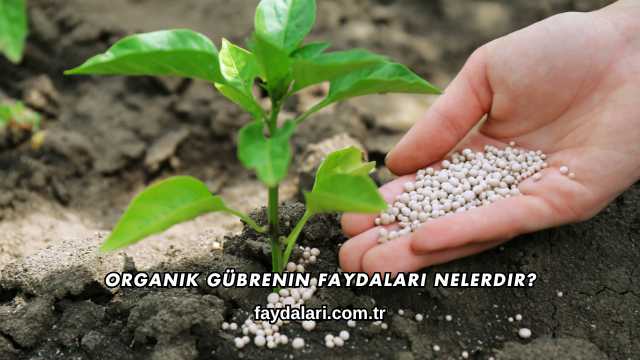 Organik Gübrenin Faydaları Nelerdir?