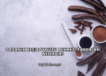 Organik Keçiboynuzu Pekmezi Faydaları Nelerdir?