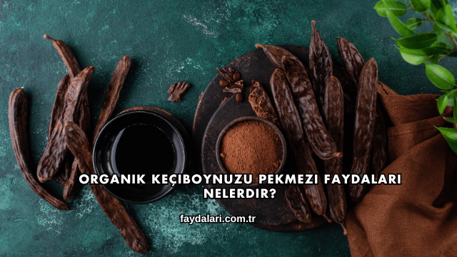 Organik Keçiboynuzu Pekmezi Faydaları Nelerdir?