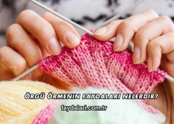 Örgü Örmenin Faydaları Nelerdir?