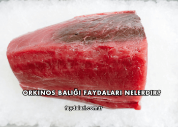 Orkinos Balığı Faydaları Nelerdir?