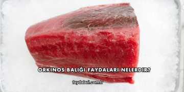 Orkinos Balığı Faydaları Nelerdir?