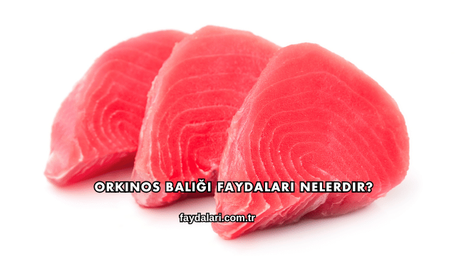 Orkinos Balığı Faydaları Nelerdir?