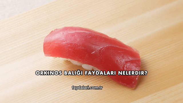 Orkinos Balığı Faydaları Nelerdir?