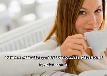 Orman Meyveli Çayın Faydaları Nelerdir?