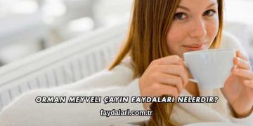 Orman Meyveli Çayın Faydaları Nelerdir?