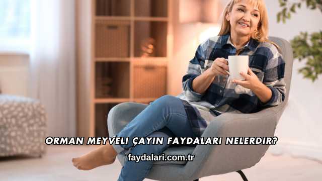 Orman Meyveli Çayın Faydaları Nelerdir?