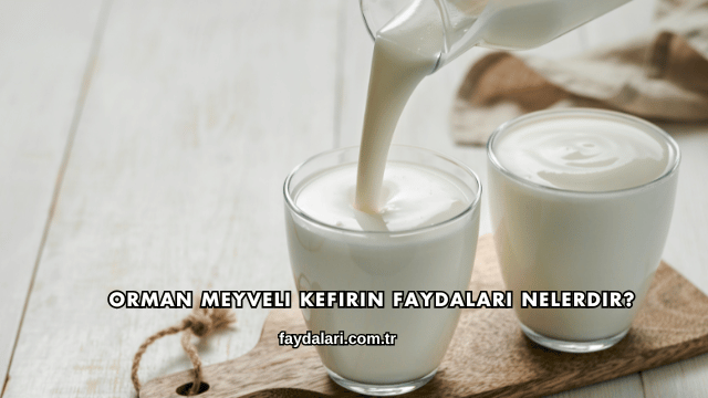Orman Meyveli Kefirin Faydaları Nelerdir?