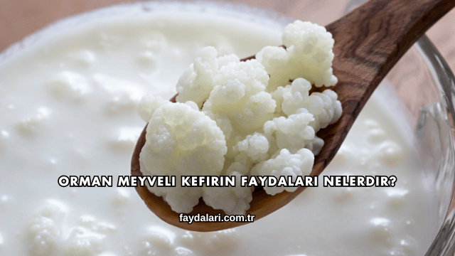 Orman Meyveli Kefirin Faydaları Nelerdir?