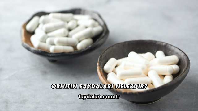 Ornitin Faydaları Nelerdir?