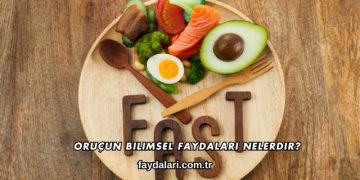 Oruçun Bilimsel Faydaları Nelerdir?