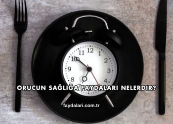 Orucun Sağlığa Faydaları Nelerdir?