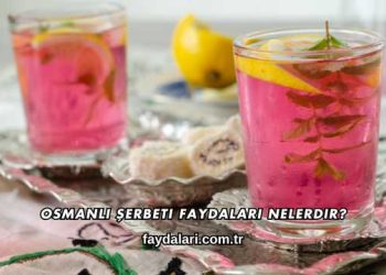 Osmanlı Şerbeti Faydaları Nelerdir?