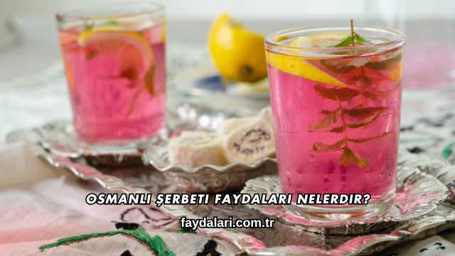 Osmanlı Şerbeti Faydaları Nelerdir?