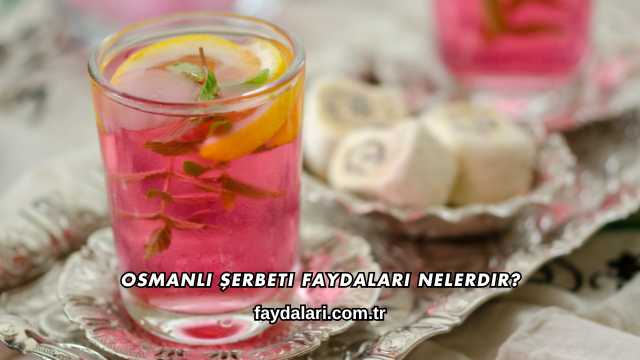 Osmanlı Şerbeti Faydaları Nelerdir?