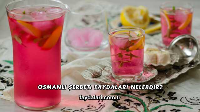 Osmanlı Şerbeti Faydaları Nelerdir?