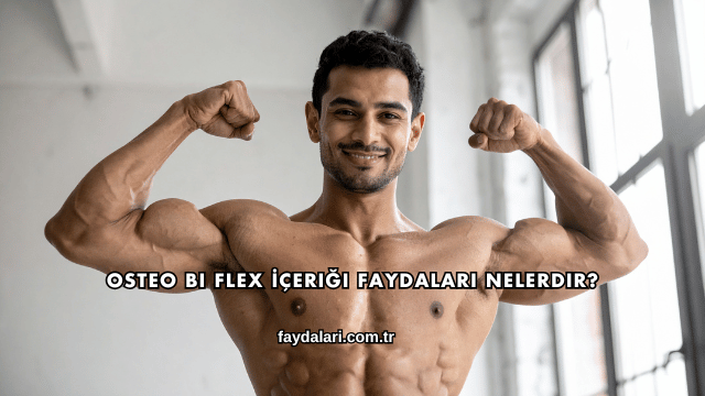 Osteo Bi Flex İçeriği Faydaları Nelerdir?