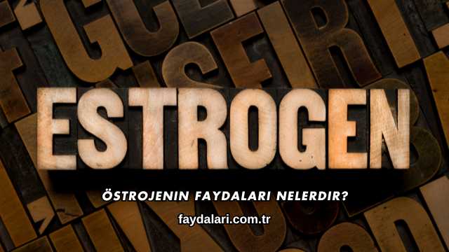 Östrojenin Faydaları Nelerdir?