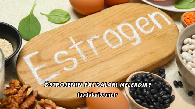 Östrojenin Faydaları Nelerdir?