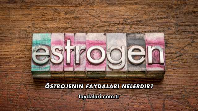 Östrojenin Faydaları Nelerdir?