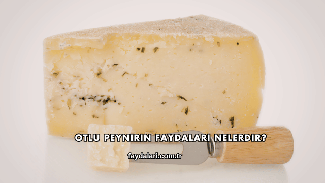 Otlu Peynirin Faydaları Nelerdir?