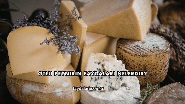 Otlu Peynirin Faydaları Nelerdir?