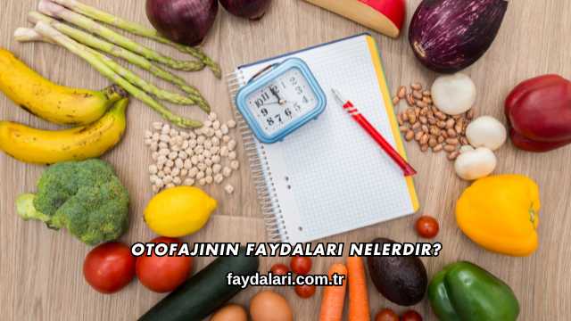 Otofajinin Faydaları Nelerdir?