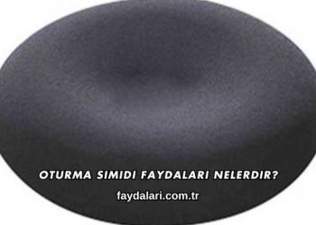Oturma Simidi Faydaları Nelerdir?