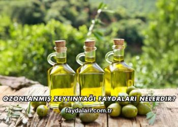 Ozonlanmış Zeytinyağı Faydaları Nelerdir?