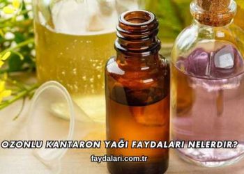 Ozonlu Kantaron Yağı Faydaları Nelerdir?