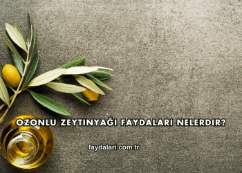 Ozonlu Zeytinyağı Faydaları Nelerdir?