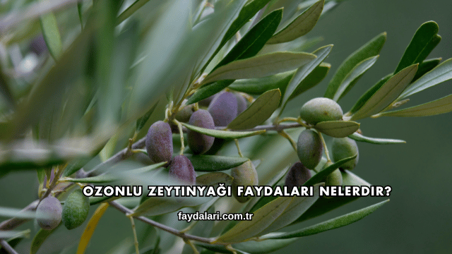 Ozonlu Zeytinyağı Faydaları Nelerdir?