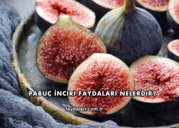 Pabuç İnciri Faydaları Nelerdir?