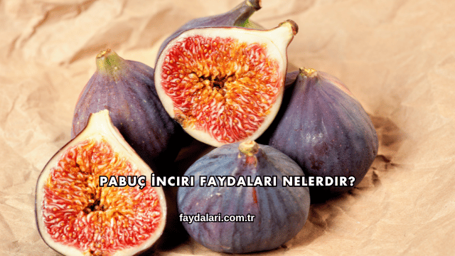 Pabuç İnciri Faydaları Nelerdir?