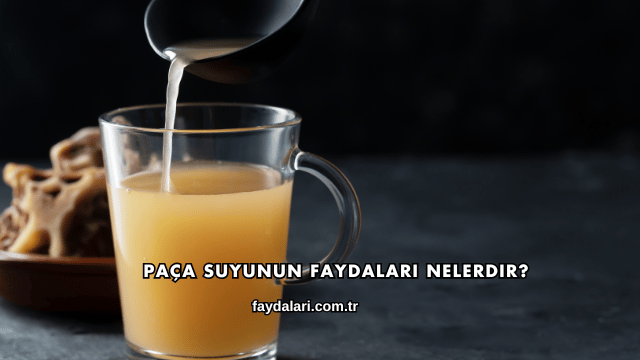 Paça Suyunun Faydaları Nelerdir?