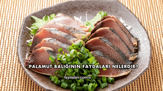Palamut Balığının Faydaları Nelerdir?