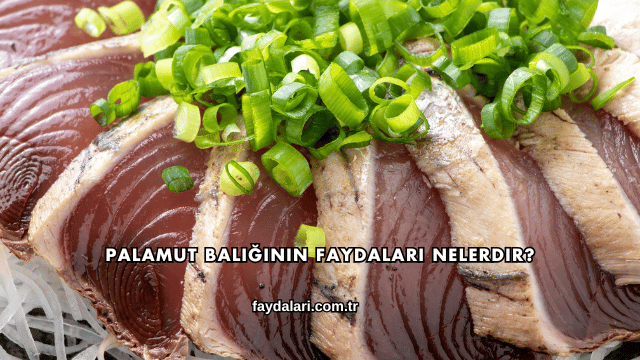 Palamut Balığının Faydaları Nelerdir?