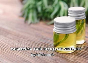 Palmarosa Yağı Faydaları Nelerdir?