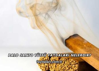 Palo Santo Tütsü Faydaları Nelerdir?
