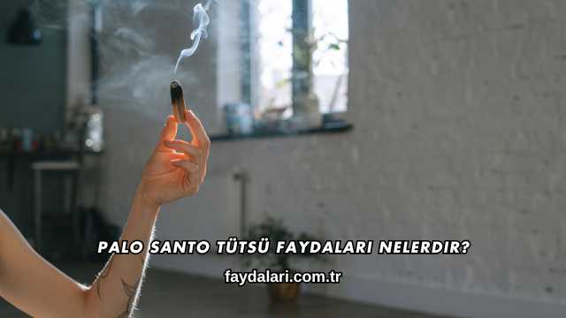 Palo Santo Tütsü Faydaları Nelerdir?