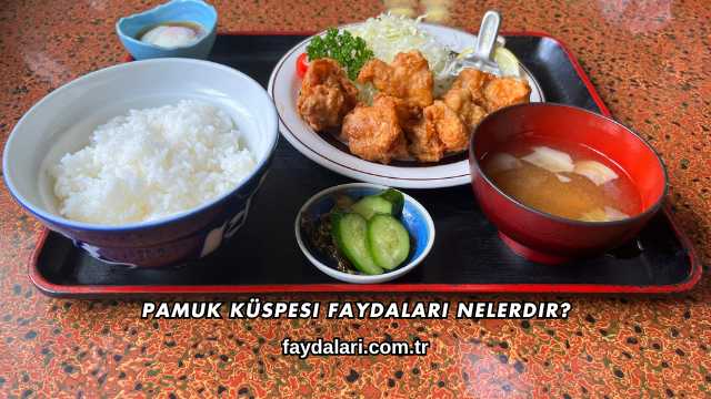 Pamuk Küspesi Faydaları Nelerdir?