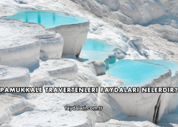 Pamukkale Travertenleri Faydaları Nelerdir?
