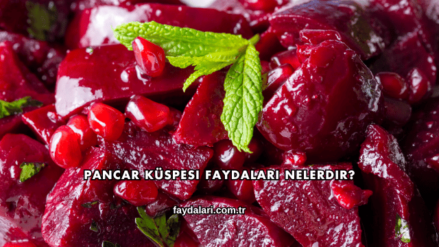 Pancar Küspesi Faydaları Nelerdir?