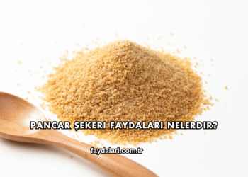 Pancar Şekeri Faydaları Nelerdir?