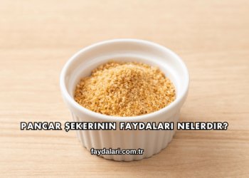 Pancar Şekerinin Faydaları Nelerdir?