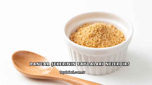 Pancar Şekerinin Faydaları Nelerdir?