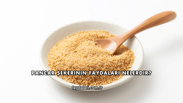 Pancar Şekerinin Faydaları Nelerdir?